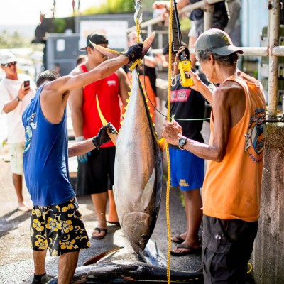 Suisan Ho`olaule`a Fishing Tournament- Image 3991