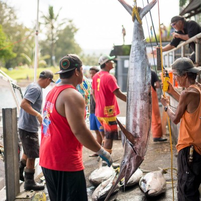 Suisan Ho`olaule`a Fishing Tournament- Image 4016